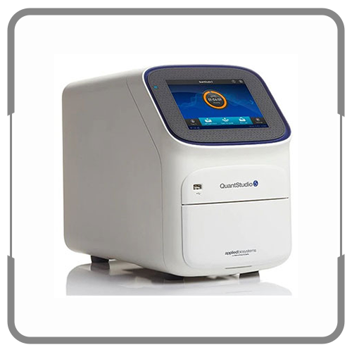 RT - PCR